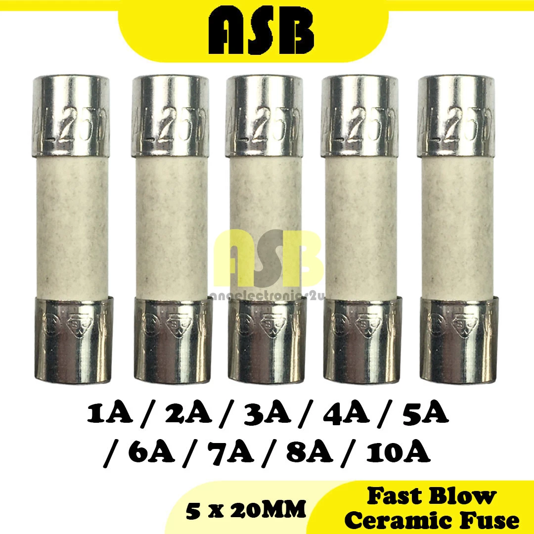 ( 5pcs ) Fast Blow Ceramic Fuse ( 5 X 20 MM )