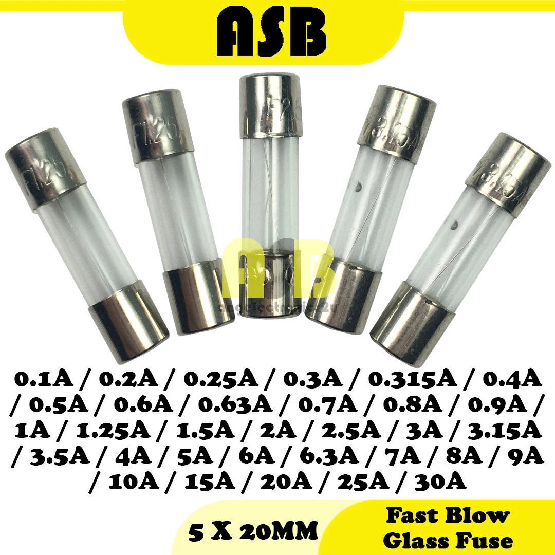 ( 5pcs ) Fast Blow Glass Fuse ( 5 X 20 MM )