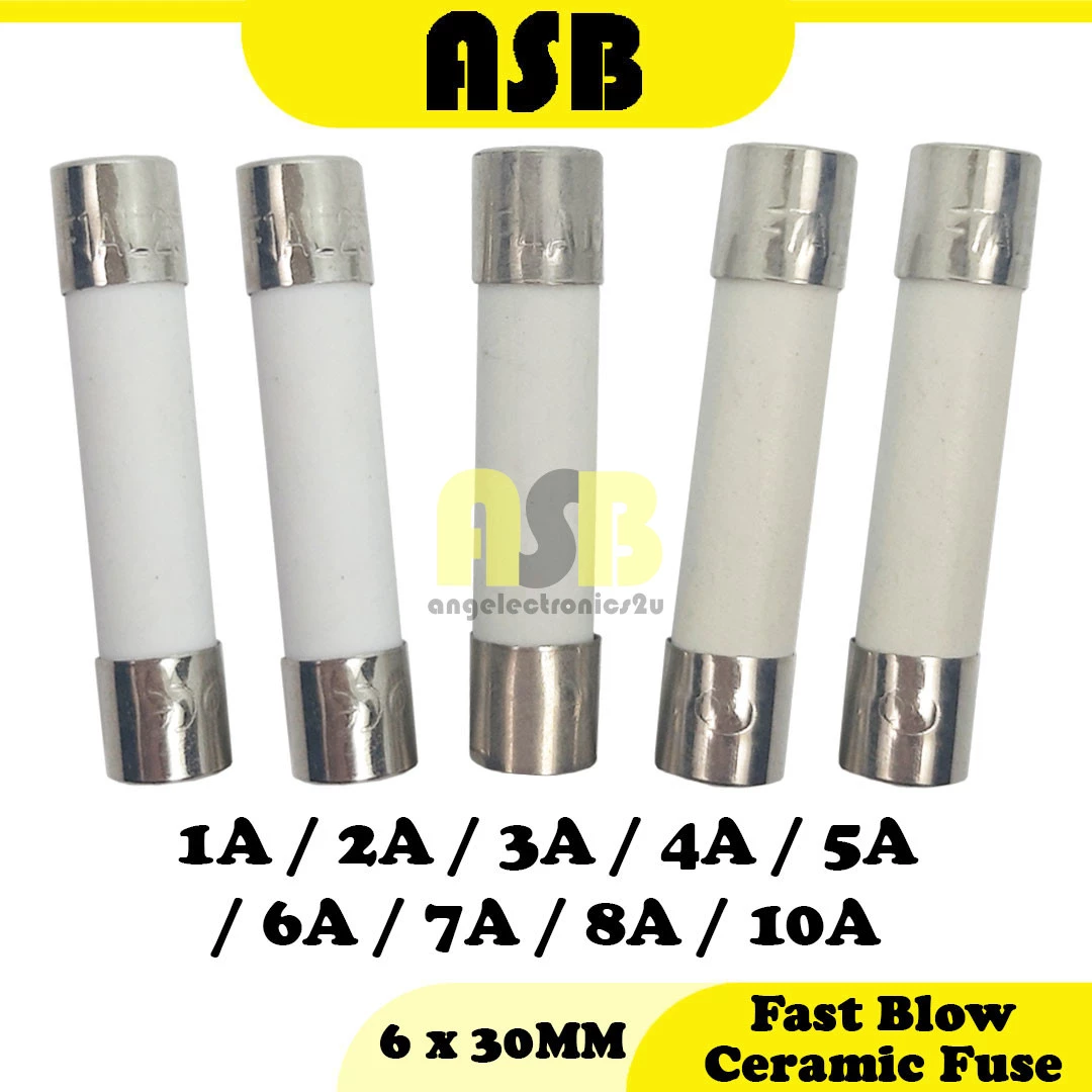 ( 5pcs ) Fast Blow Ceramic Fuse ( 6 X 30 MM )